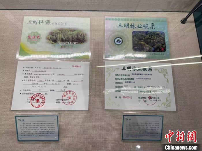(改革进行时)从全球最大碳市场起步走稳看中国“双碳”答卷