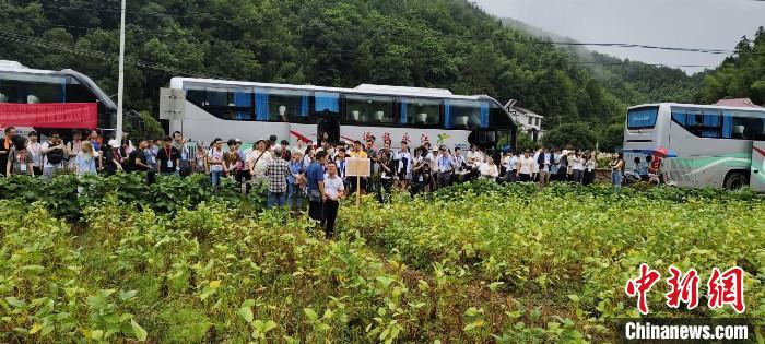 湖南浏阳“科技 农业”种出乡村振兴新前景