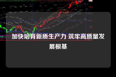 加快培育新质生产力 筑牢高质量发展根基